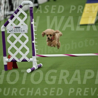 MAS-EX-STD-4-8-Inch_4589