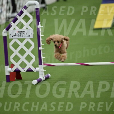 MAS-EX-STD-4-8-Inch_4590