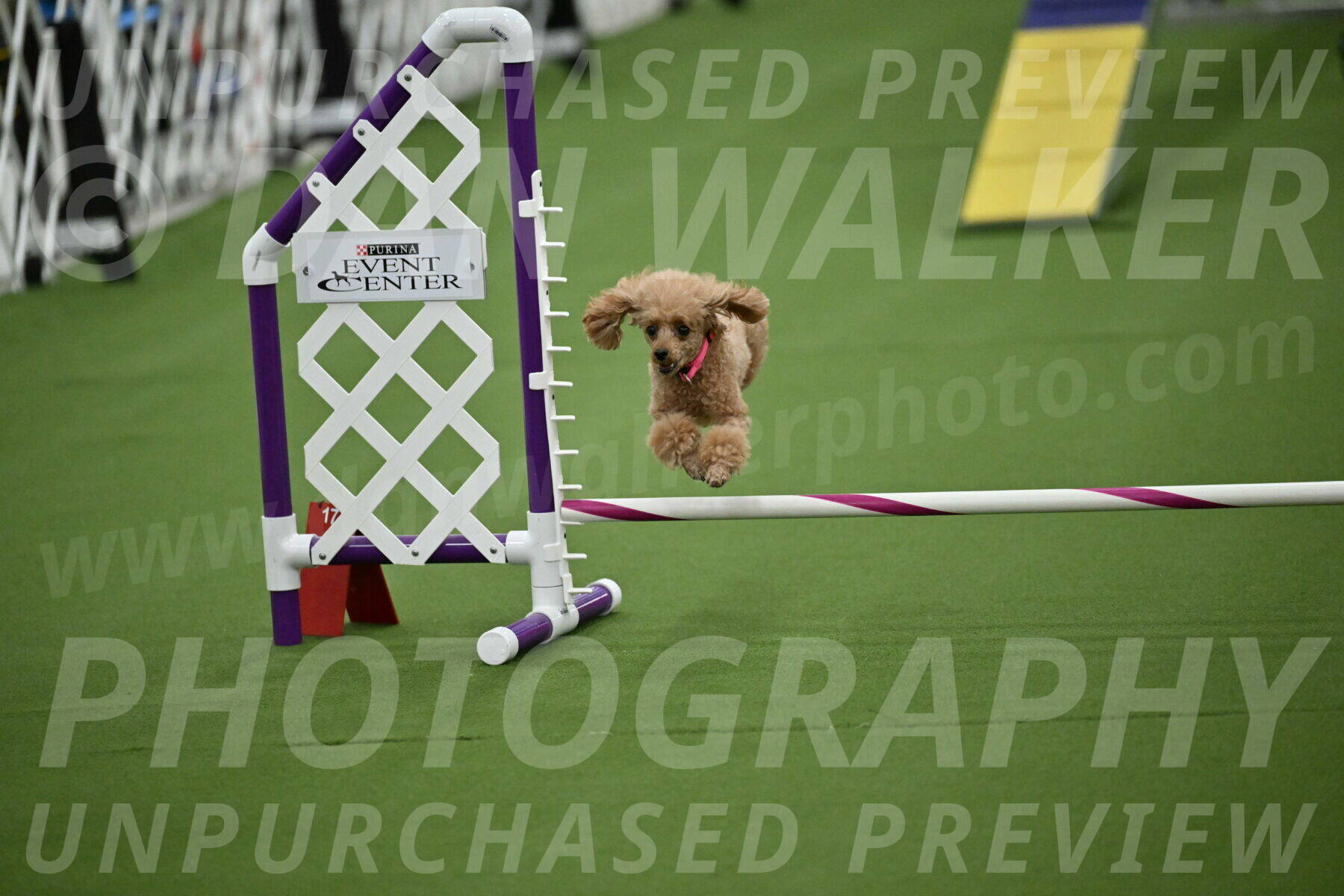 MAS-EX-STD-4-8-Inch_4590