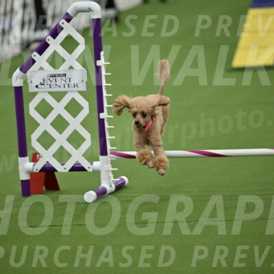 MAS-EX-STD-4-8-Inch_4591