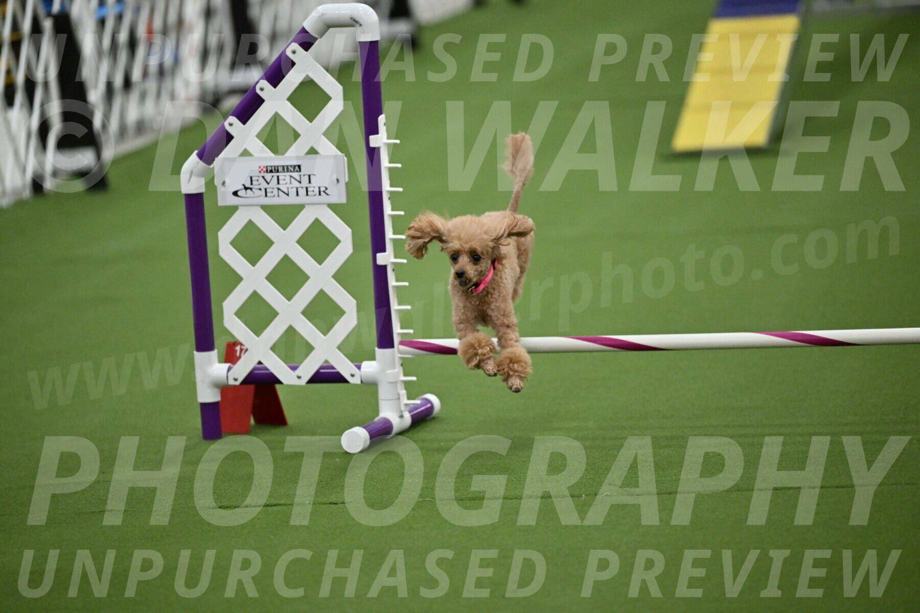 MAS-EX-STD-4-8-Inch_4591