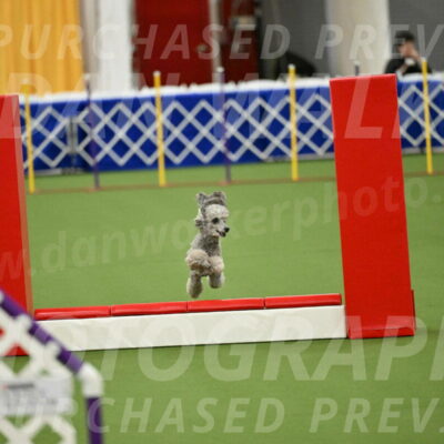 MAS-EX-STD-4-8-Inch_4601