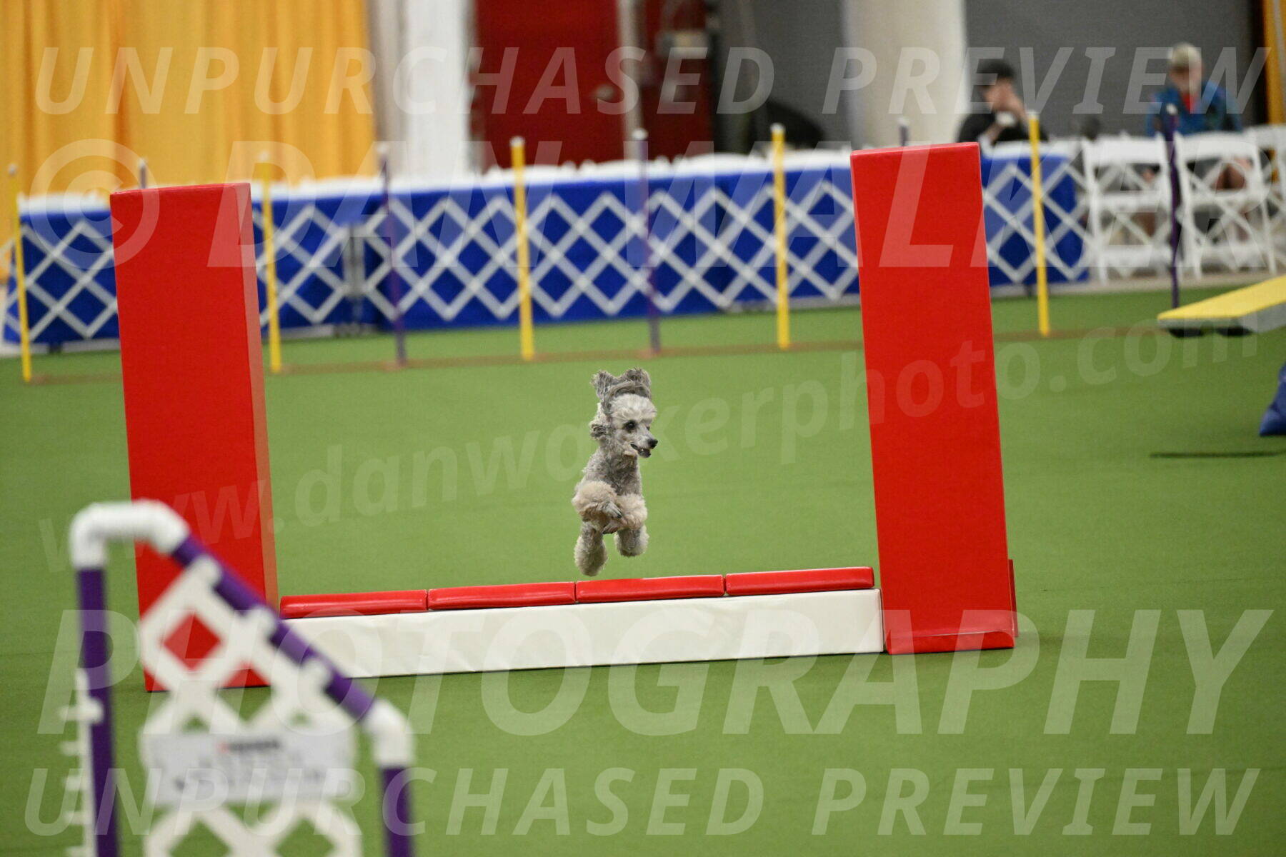 MAS-EX-STD-4-8-Inch_4601