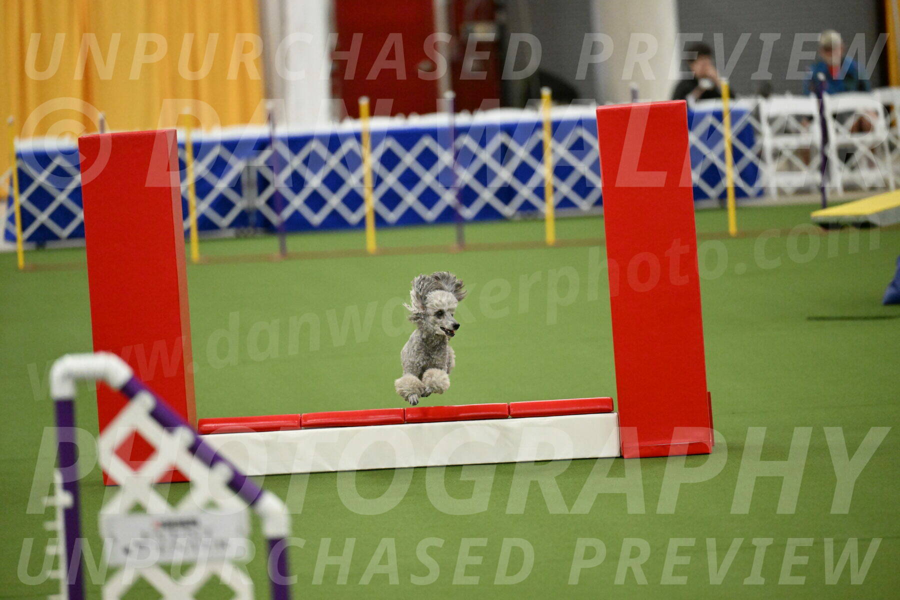 MAS-EX-STD-4-8-Inch_4602