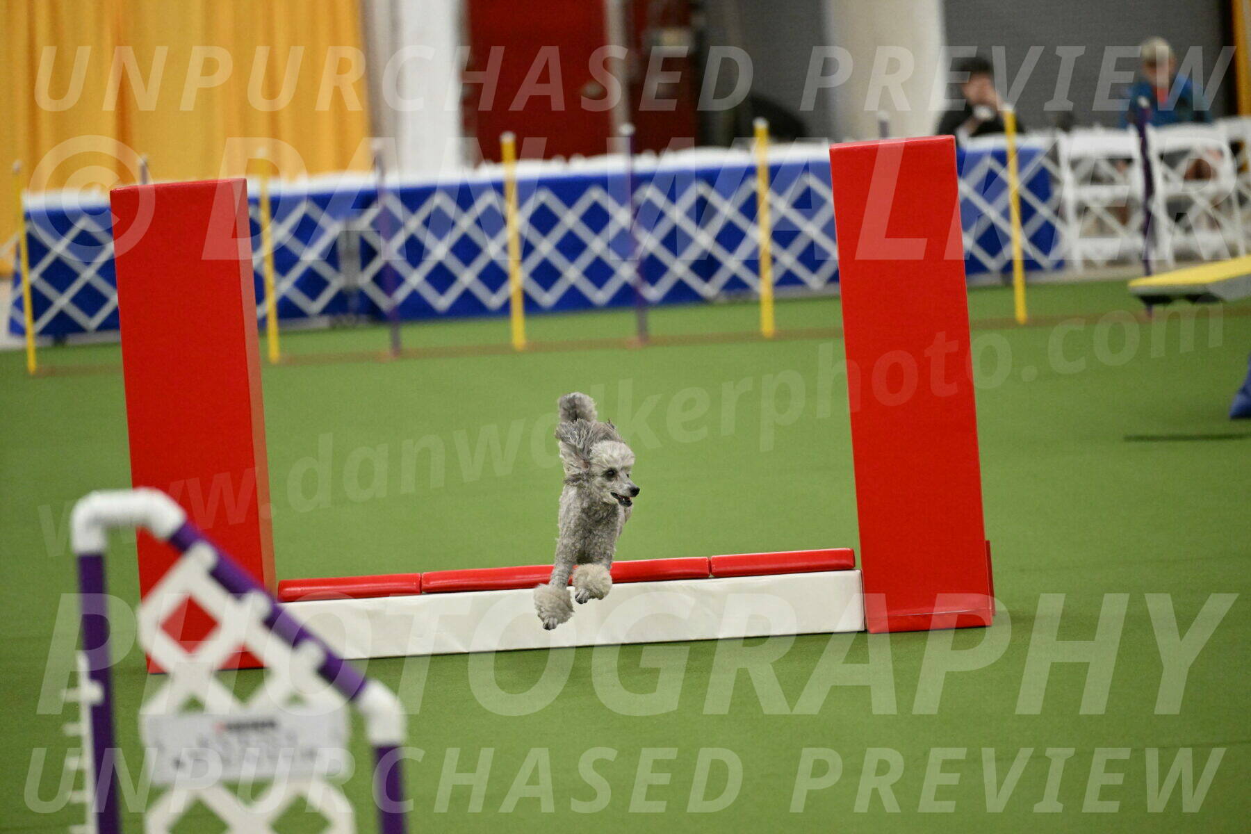 MAS-EX-STD-4-8-Inch_4603