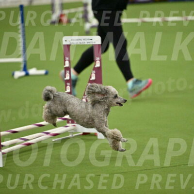 MAS-EX-STD-4-8-Inch_4606