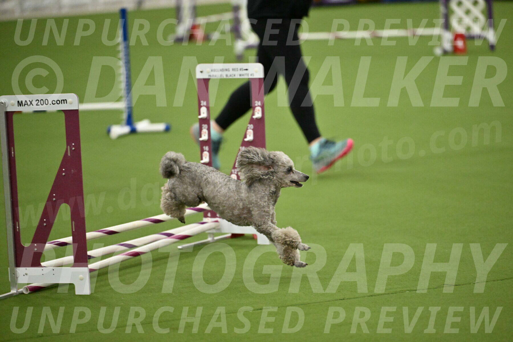 MAS-EX-STD-4-8-Inch_4606