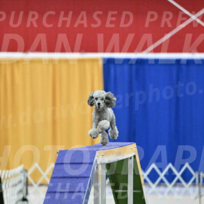 MAS-EX-STD-4-8-Inch_4608