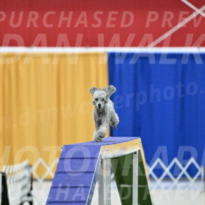 MAS-EX-STD-4-8-Inch_4609