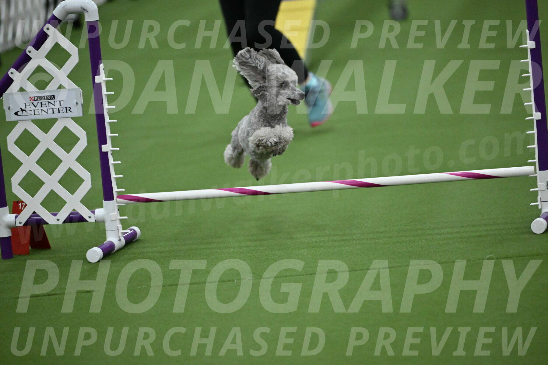 MAS-EX-STD-4-8-Inch_4621