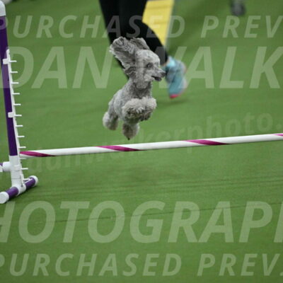 MAS-EX-STD-4-8-Inch_4621