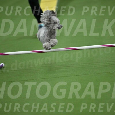 MAS-EX-STD-4-8-Inch_4622