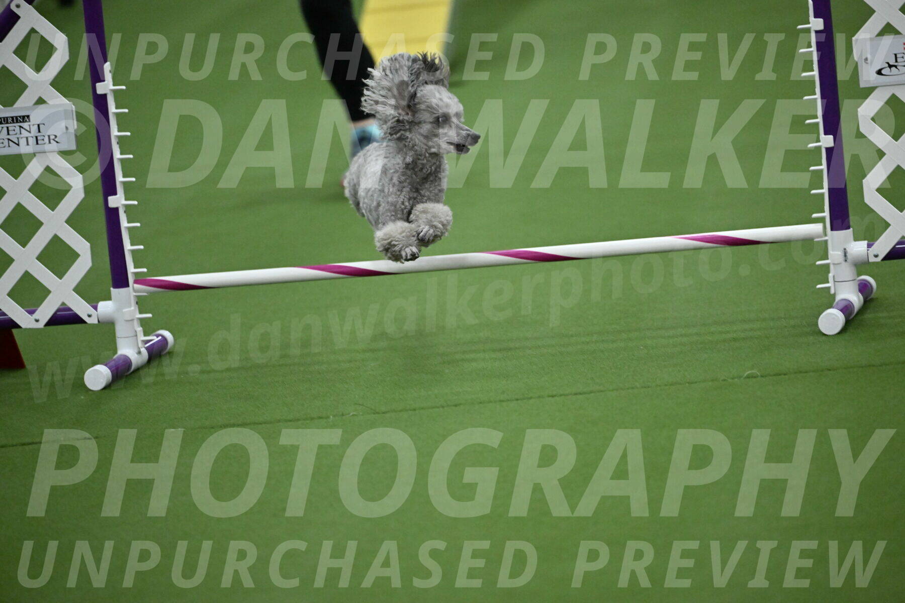 MAS-EX-STD-4-8-Inch_4622