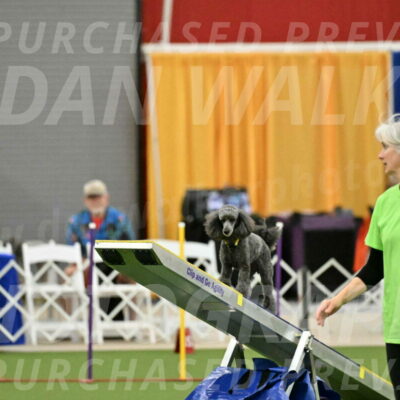 MAS-EX-STD-4-8-Inch_4630