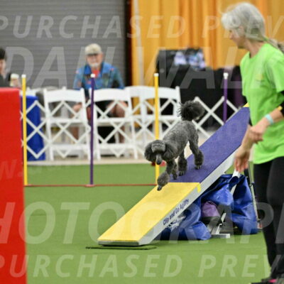 MAS-EX-STD-4-8-Inch_4641