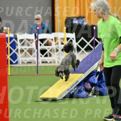 MAS-EX-STD-4-8-Inch_4643