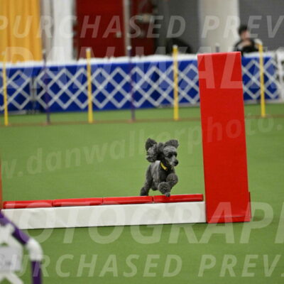 MAS-EX-STD-4-8-Inch_4648