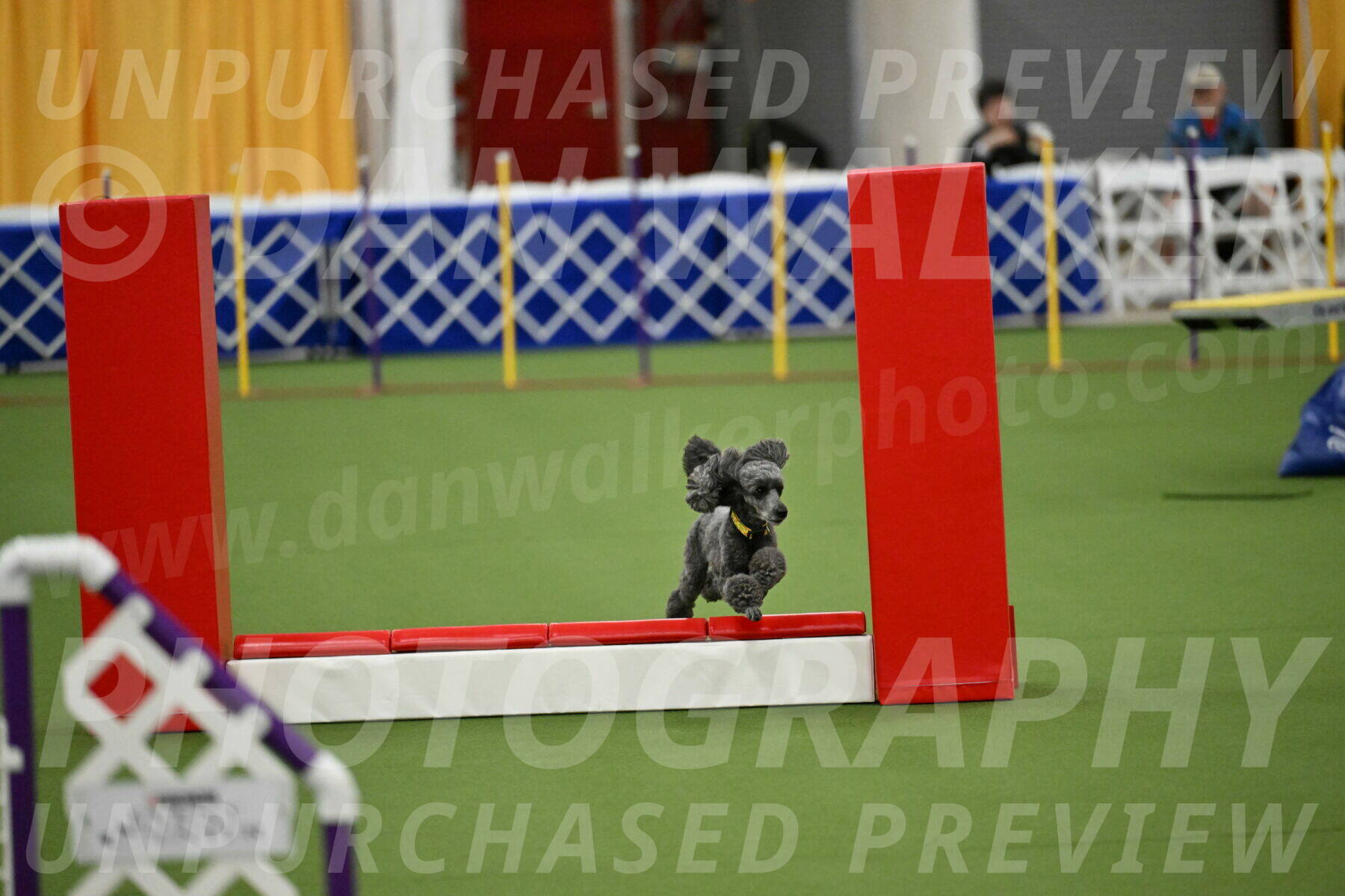 MAS-EX-STD-4-8-Inch_4648