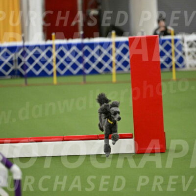 MAS-EX-STD-4-8-Inch_4649