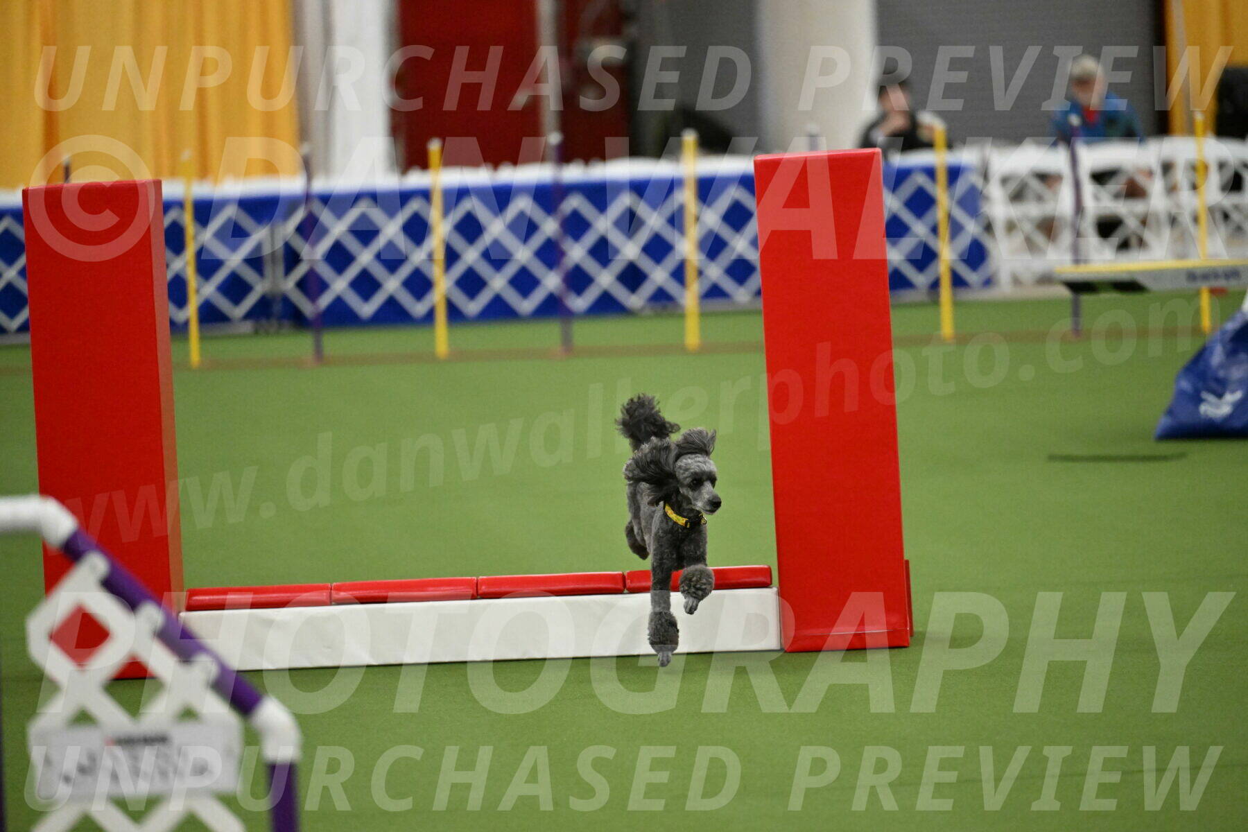 MAS-EX-STD-4-8-Inch_4649