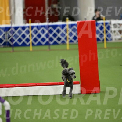 MAS-EX-STD-4-8-Inch_4650