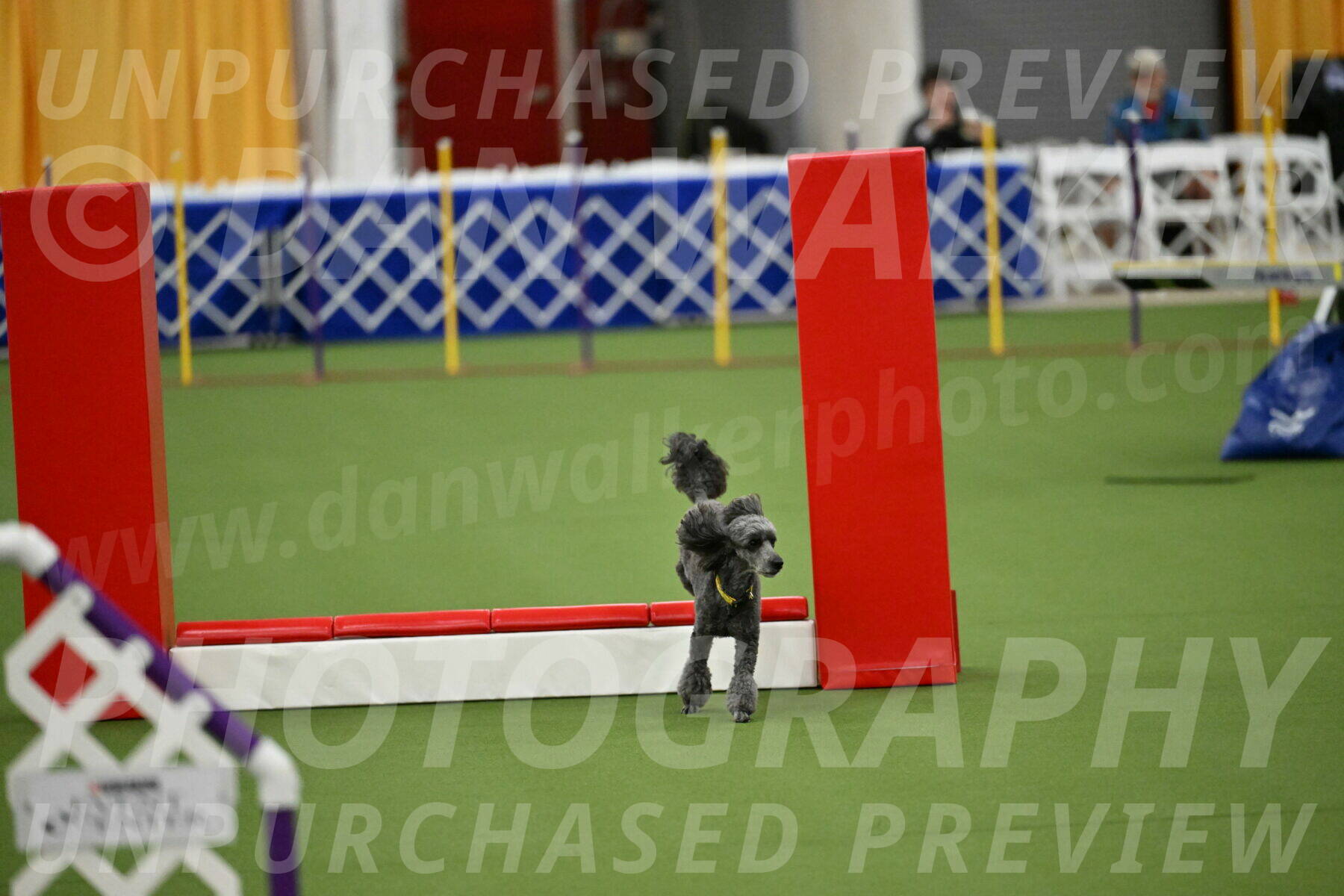 MAS-EX-STD-4-8-Inch_4650