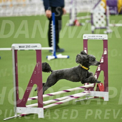 MAS-EX-STD-4-8-Inch_4656