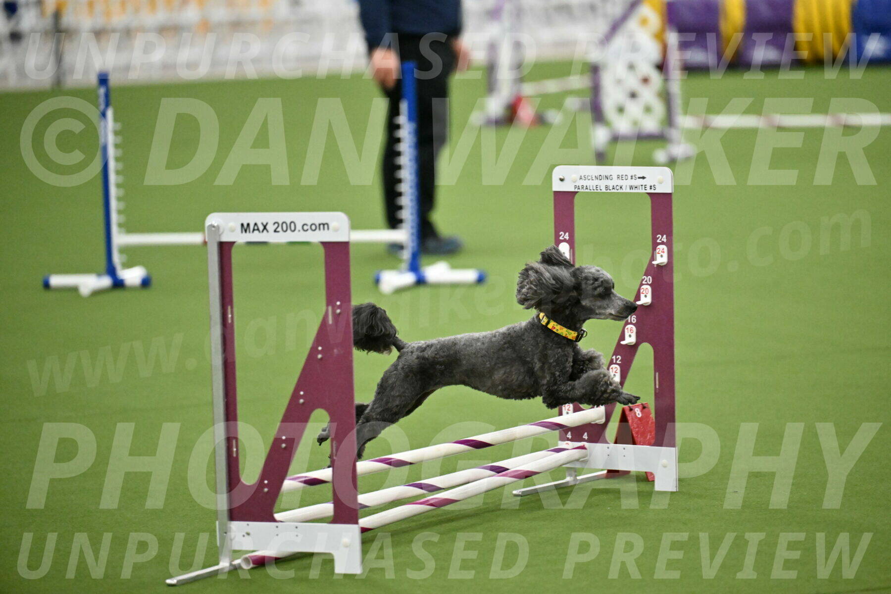 MAS-EX-STD-4-8-Inch_4656