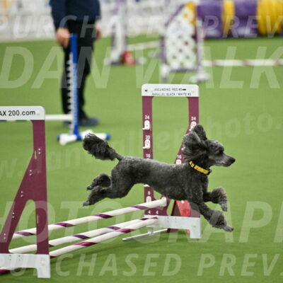 MAS-EX-STD-4-8-Inch_4657