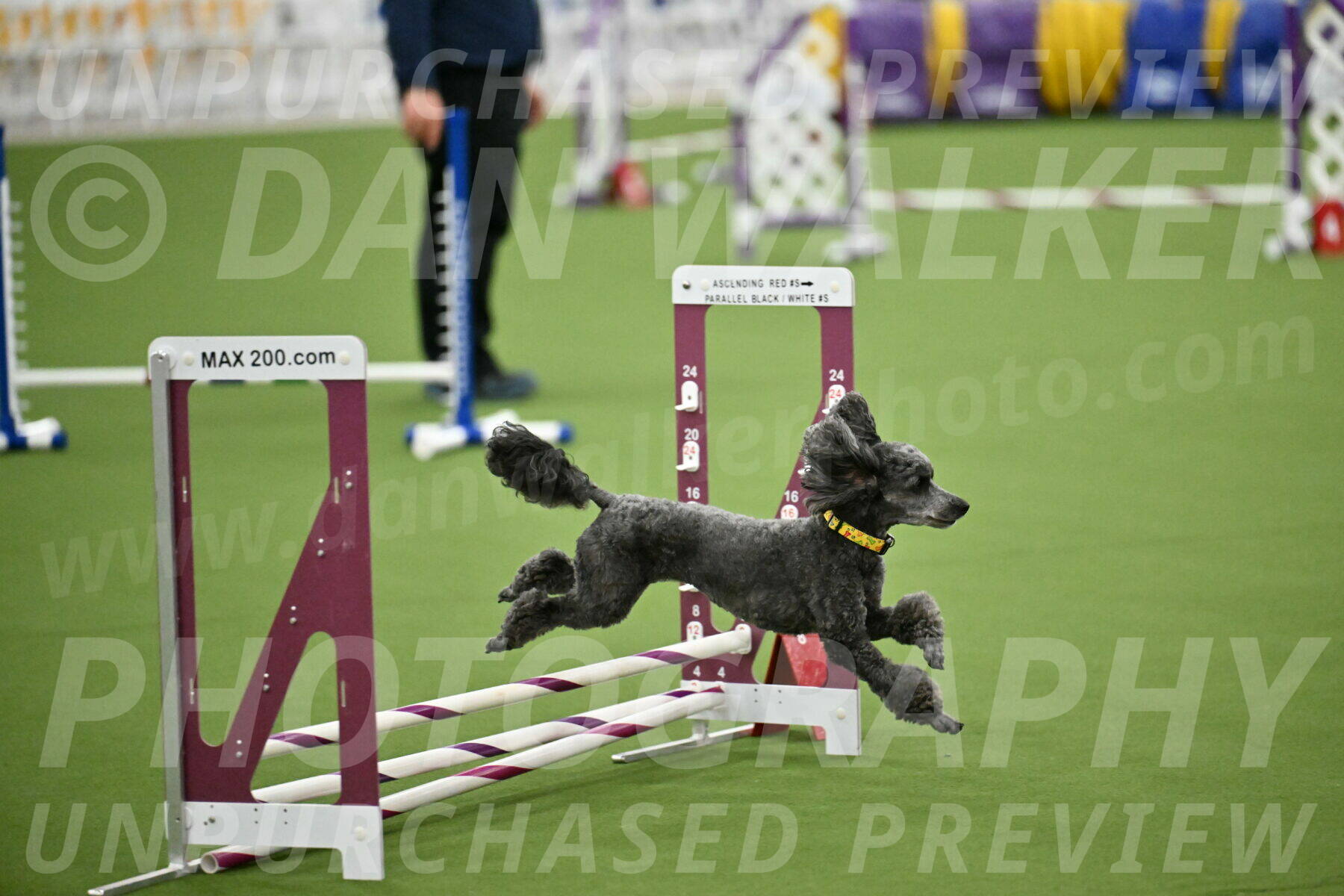 MAS-EX-STD-4-8-Inch_4657