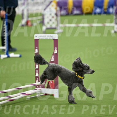 MAS-EX-STD-4-8-Inch_4658