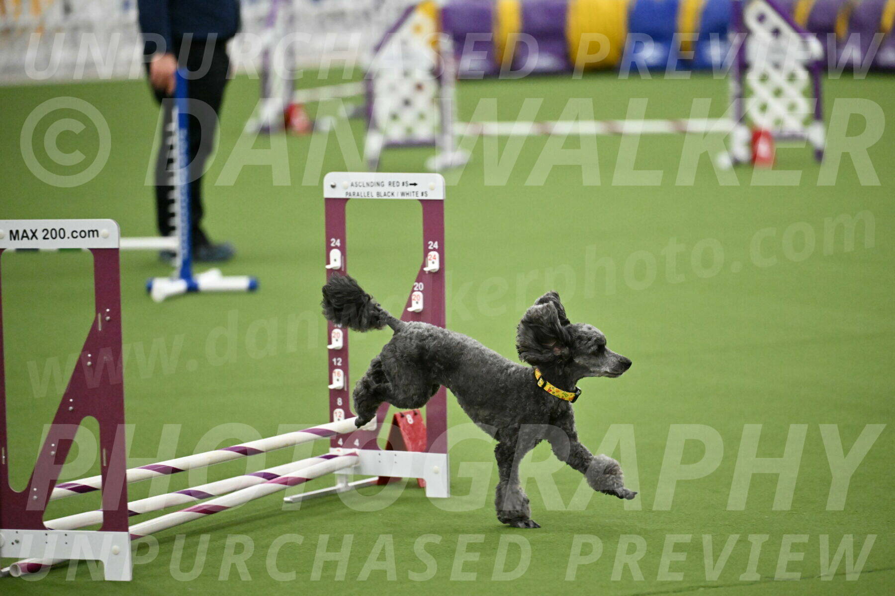 MAS-EX-STD-4-8-Inch_4658