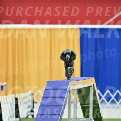 MAS-EX-STD-4-8-Inch_4663