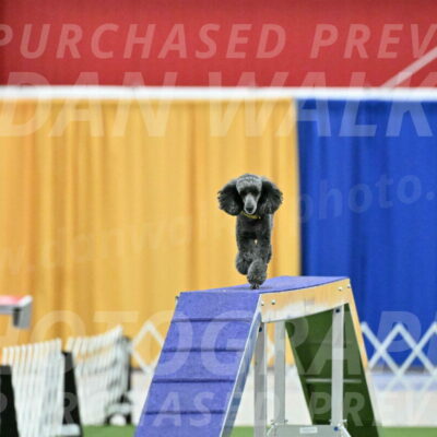 MAS-EX-STD-4-8-Inch_4664