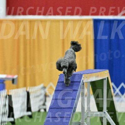 MAS-EX-STD-4-8-Inch_4666