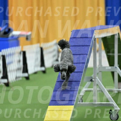 MAS-EX-STD-4-8-Inch_4667