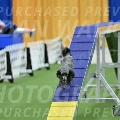 MAS-EX-STD-4-8-Inch_4668