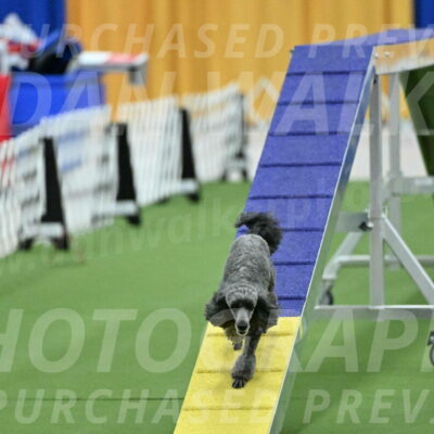 MAS-EX-STD-4-8-Inch_4669