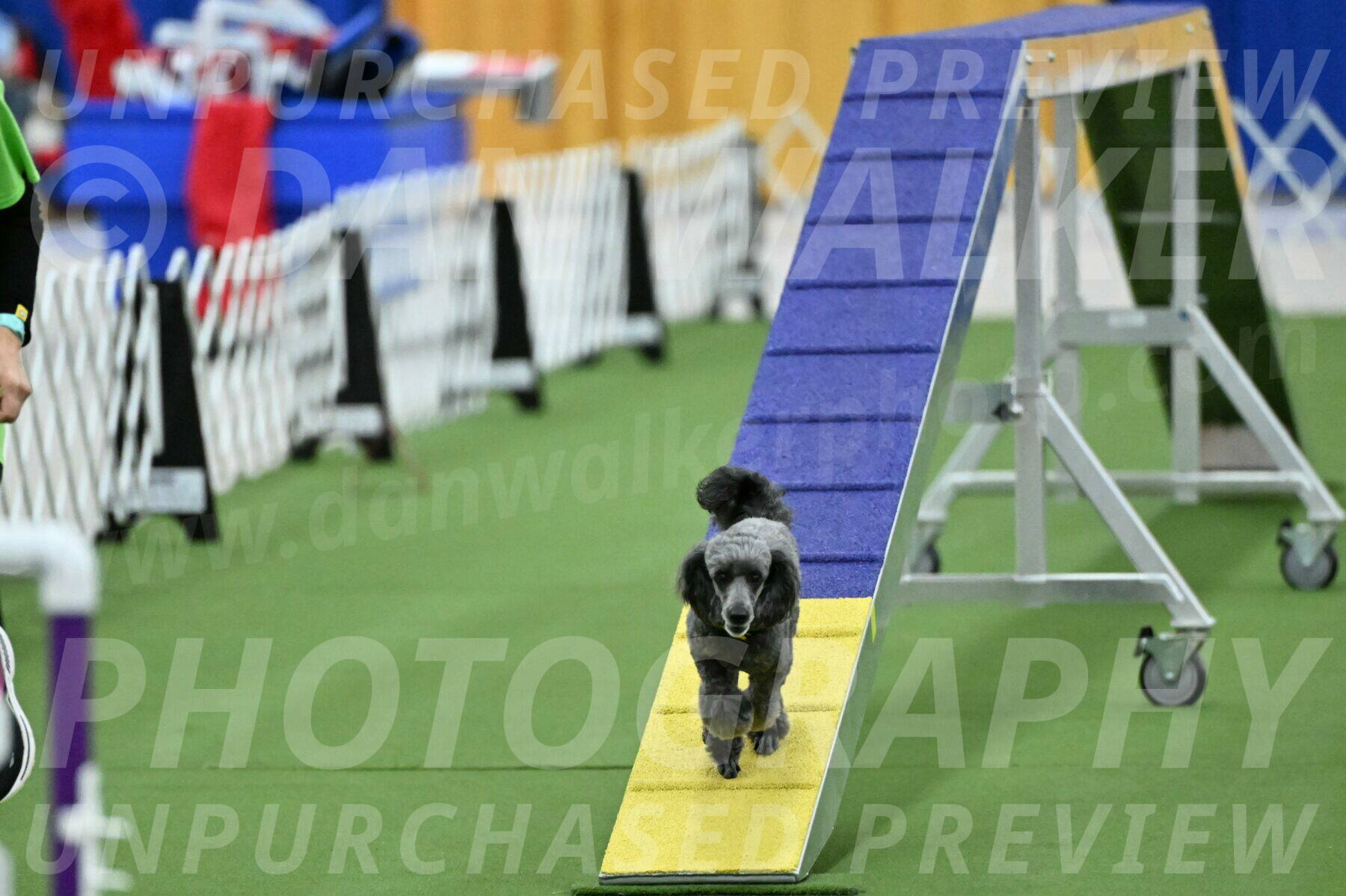 MAS-EX-STD-4-8-Inch_4670