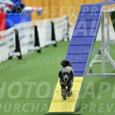 MAS-EX-STD-4-8-Inch_4670