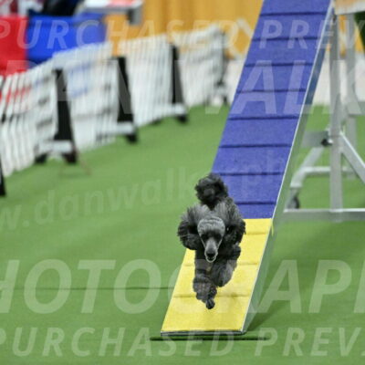 MAS-EX-STD-4-8-Inch_4671