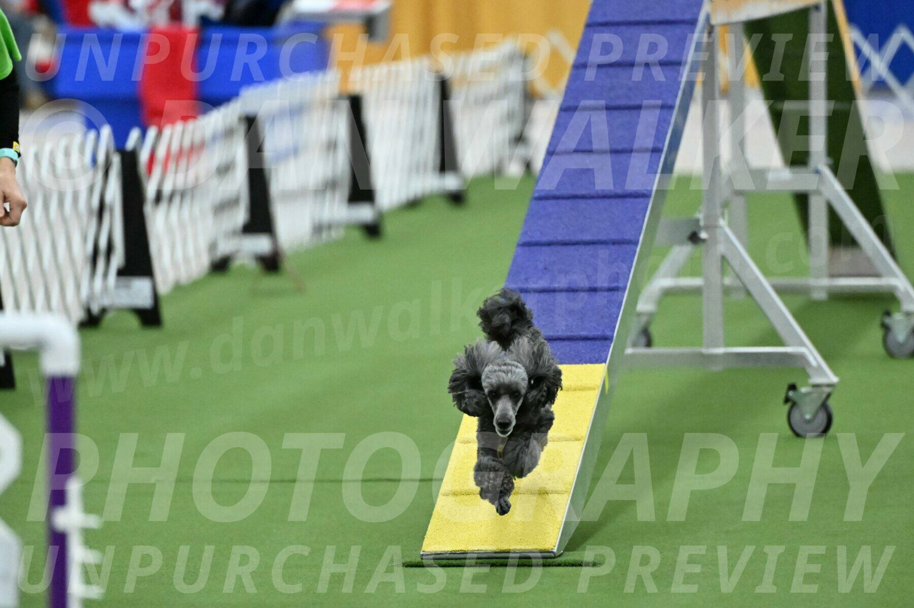 MAS-EX-STD-4-8-Inch_4671