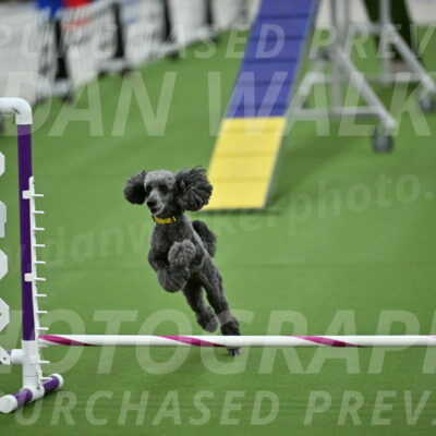 MAS-EX-STD-4-8-Inch_4673