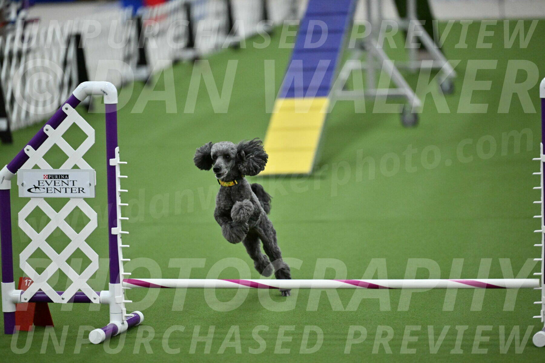 MAS-EX-STD-4-8-Inch_4673