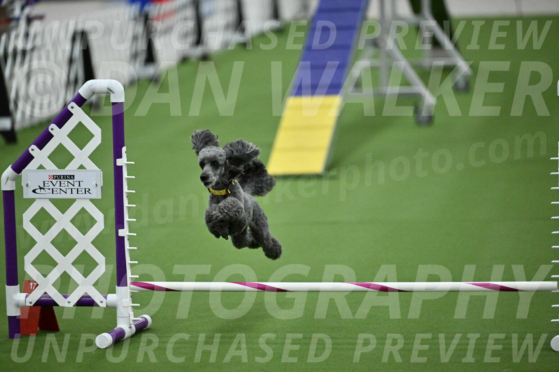 MAS-EX-STD-4-8-Inch_4674