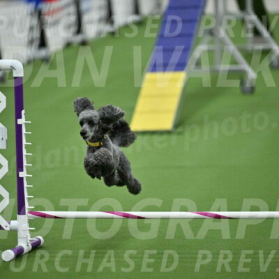 MAS-EX-STD-4-8-Inch_4674