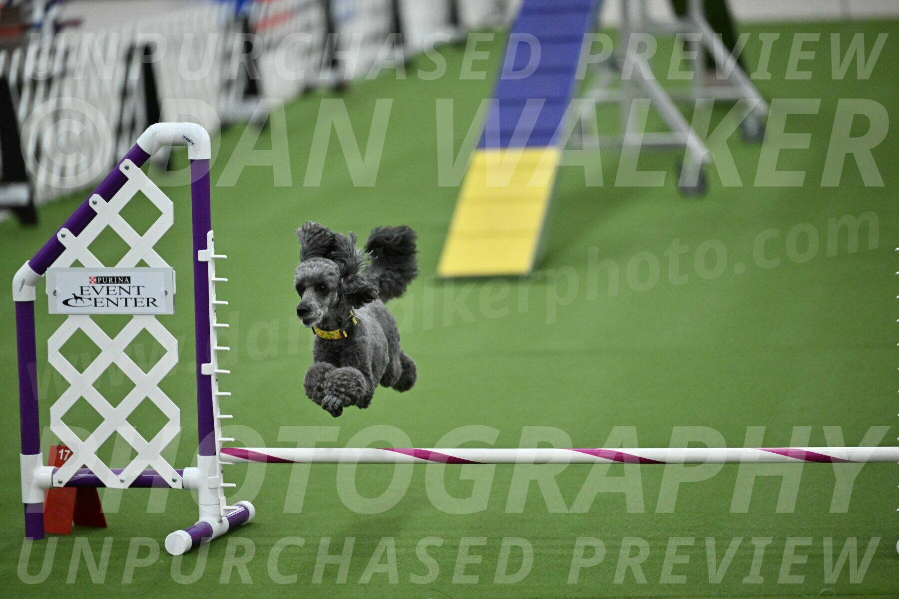 MAS-EX-STD-4-8-Inch_4675