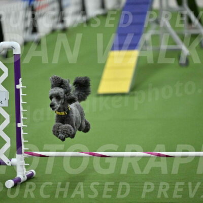 MAS-EX-STD-4-8-Inch_4675