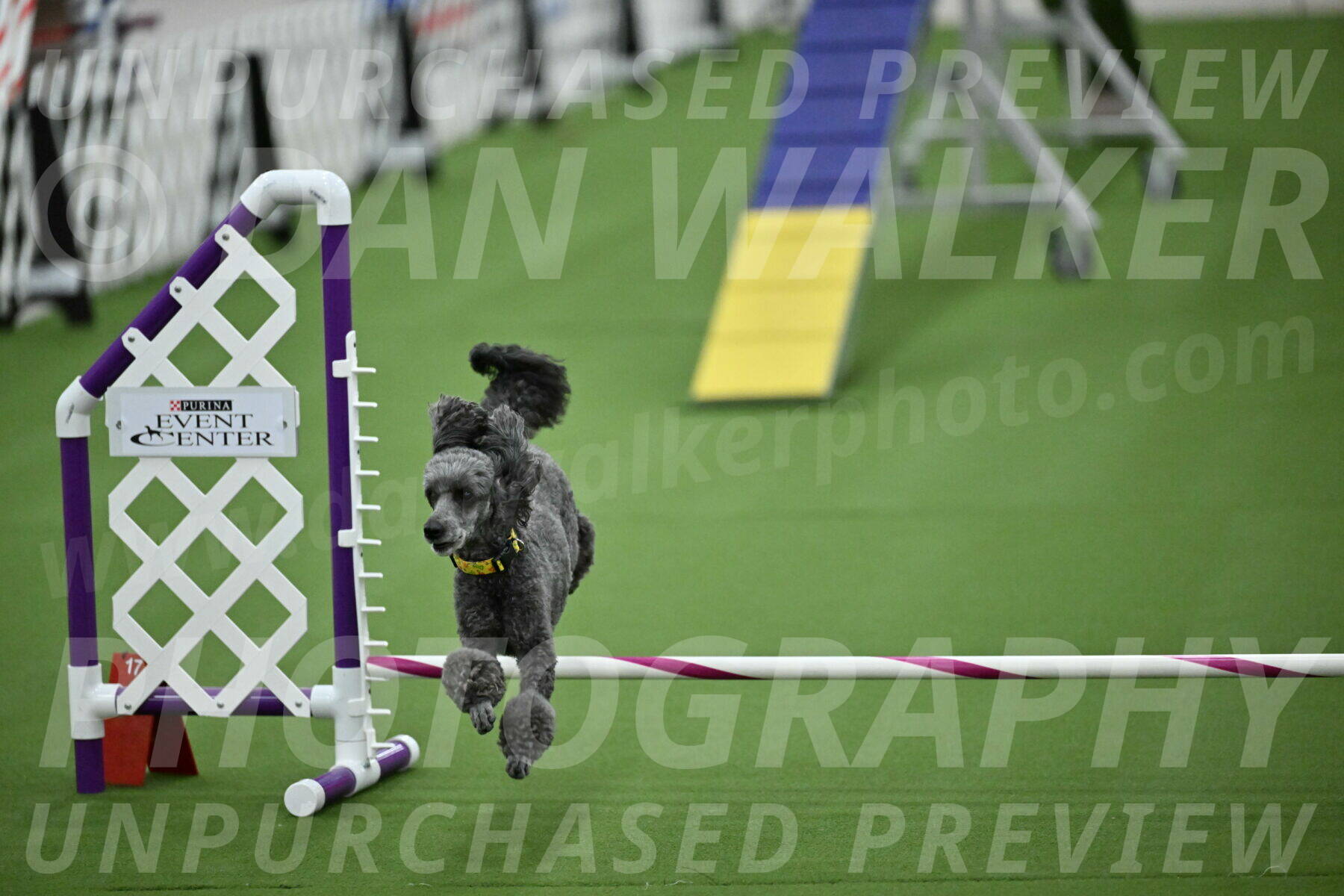 MAS-EX-STD-4-8-Inch_4676