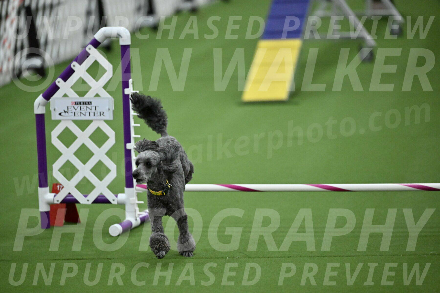 MAS-EX-STD-4-8-Inch_4677